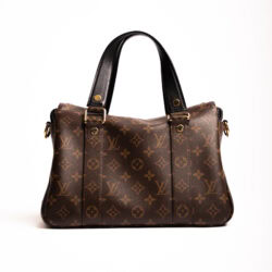 LV Monogram multi pocket 2-way handbag